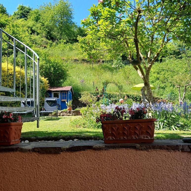 Ferienwohnung Haus Bleser Cochem Bagian luar foto